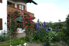 Rose Laguna0410a.webp
