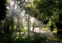 SB 82 im Kurpark Baden-4.jpg