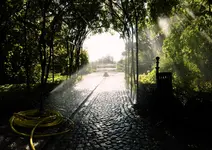 SB 82 im Kurpark Baden-5.webp