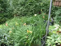 008_1024x768.JPG