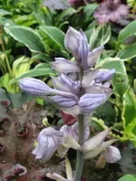 006_576x768.webp