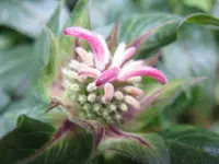 010_1024x768.webp