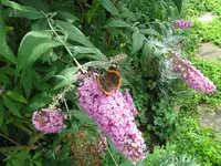 IMG_5674.webp