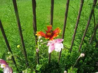 IMG_5671.webp