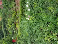 20170804_092033.webp