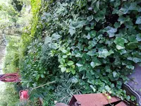 20170803_201923.webp