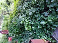 20170803_201922.webp