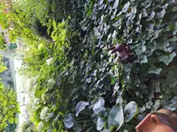 20170803_201905.webp
