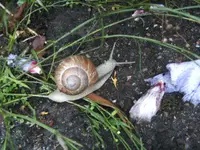 BILD7872.webp