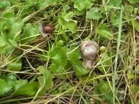 BILD7874.webp