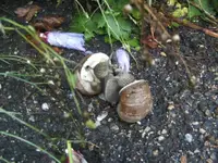 BILD7871.webp