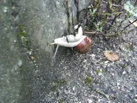 BILD7875.webp