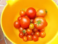 20170804_160426.jpg