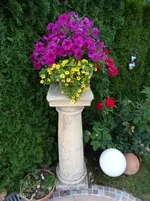 DSC01348.webp