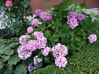 DSC01355.webp
