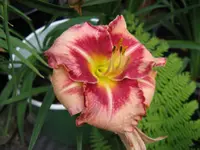 013_1024x768.webp
