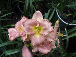 017_1024x768.JPG