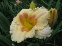 019_1024x768.JPG