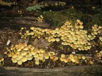 001_1024x768.webp