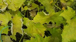 20170728_133330_resize.webp