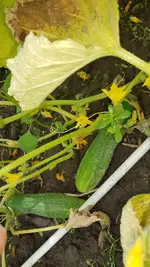 20170728_133351_resize.webp