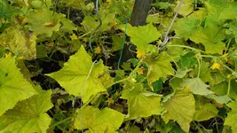 20170728_133411_resize.webp