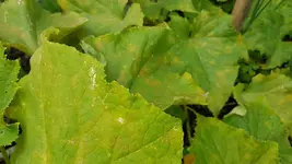 20170728_133514_resize.webp