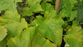 20170728_133518_resize.webp