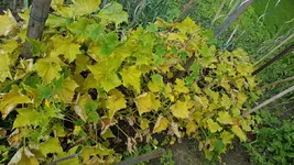 20170731_124825_resize.webp