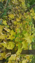 20170801_193415_resize.webp