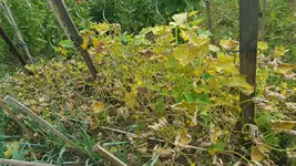 20170804_092028_resize.webp