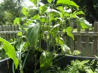 BILD7793.webp
