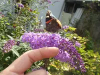 P1070743.webp