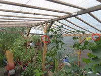 P1070837 - Kopie.webp