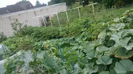 DSC_2111.jpg