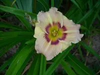 DSCI0580.webp