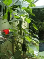 BILD7878.webp