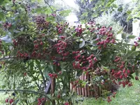 BILD7892.webp