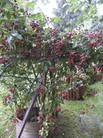 BILD7893.webp