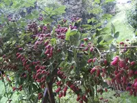 BILD7894.webp