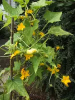 BILD7882.webp