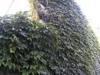 BILD7931.webp