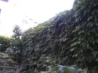 BILD7932.webp