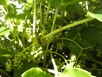 BILD7929.webp