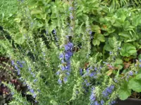 BILD7920.webp