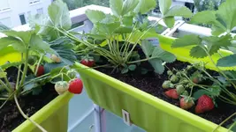 20170805_202255.2.webp