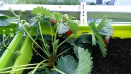 20170805_202309.2.webp