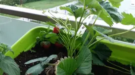 20170805_202330.2.webp