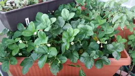 20170805_202348.2.webp