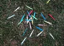 bunt01.webp